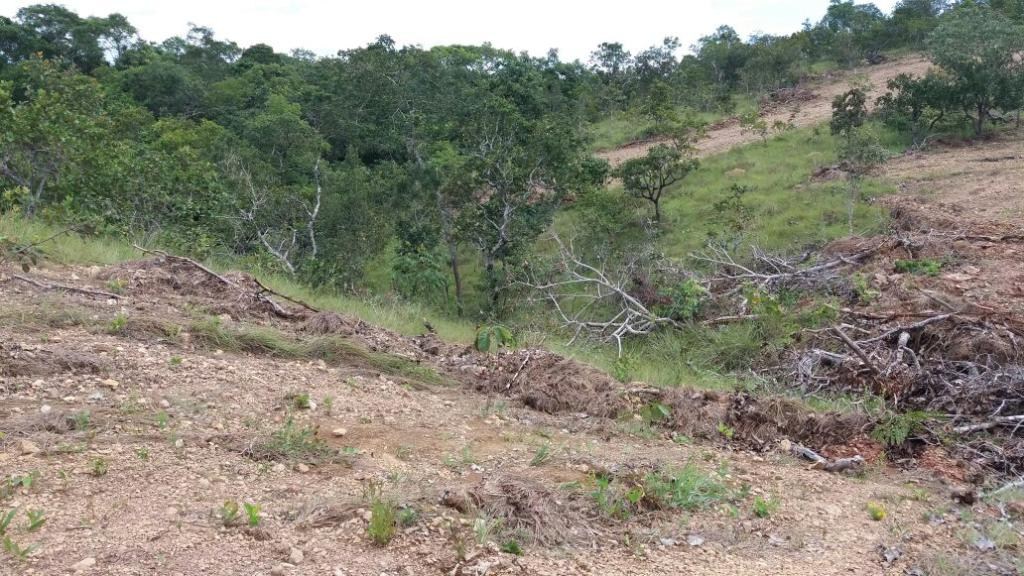 Policiais flagram 'escravos' em operaÃ§Ã£o desencadeada no lago de Manso