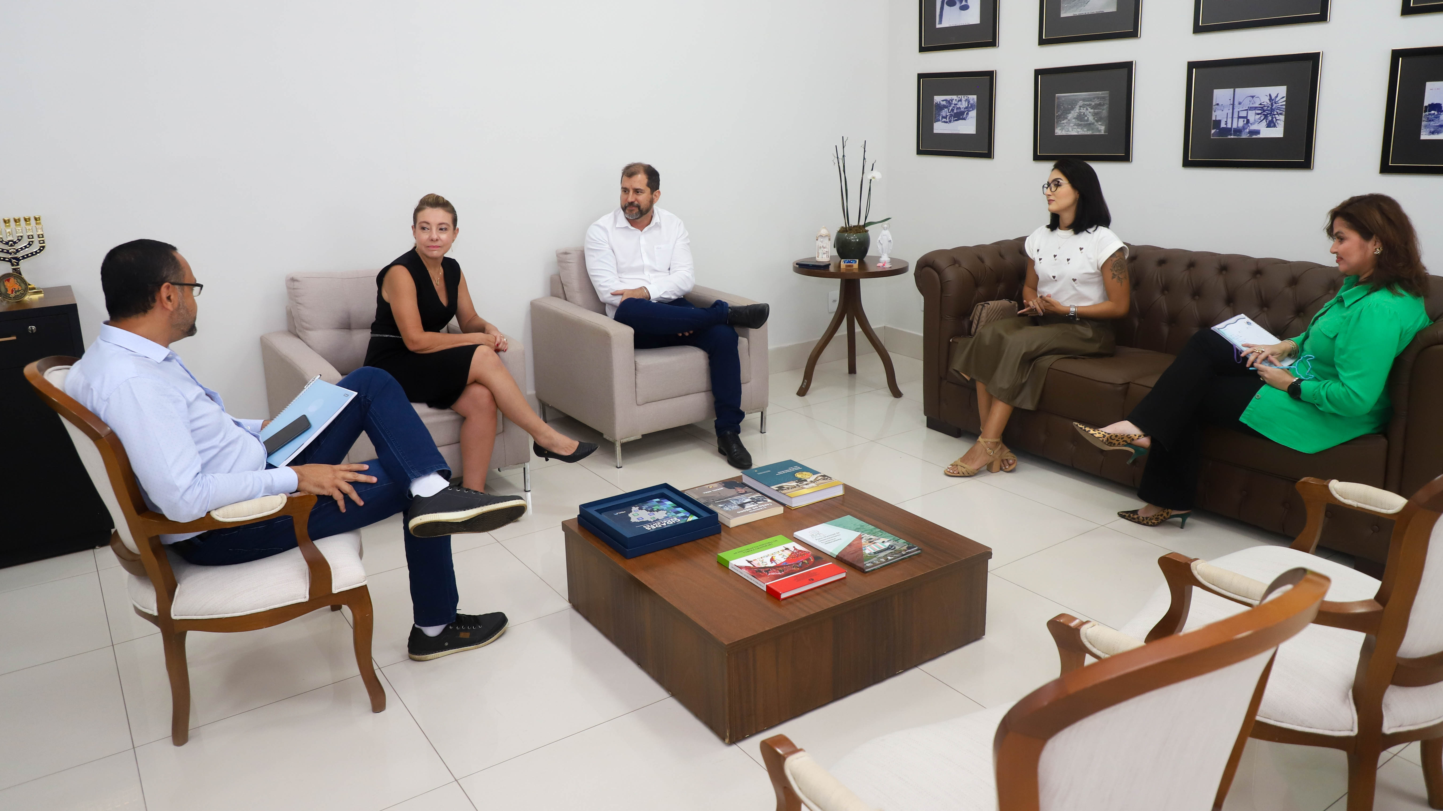 Em reunião com Mapa, Flávia debate legislação de inspeção sanitária
