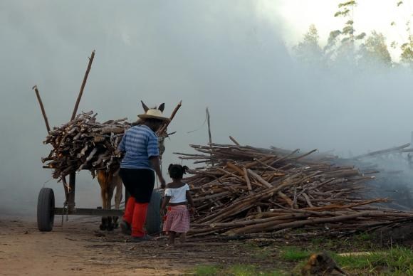 Brasil registra aumento de trabalho infantil entre crianÃ§as de 5 a 9 anos