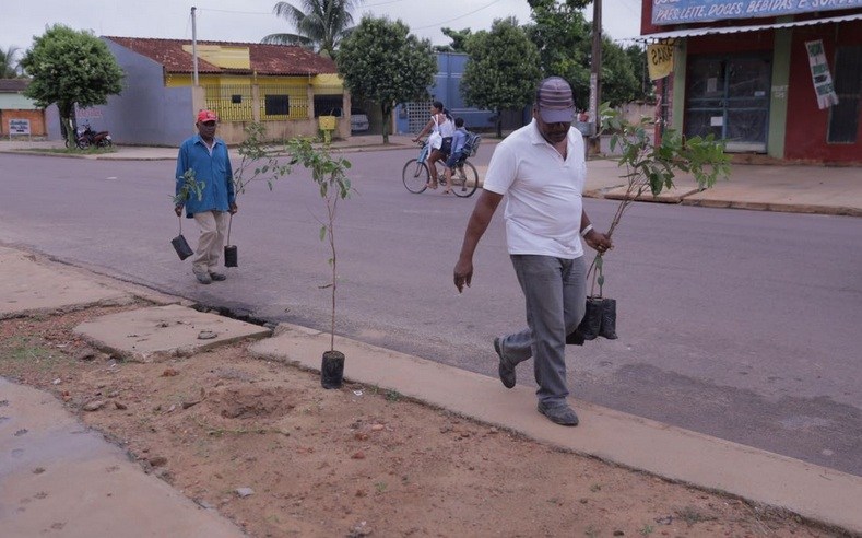 Sinop inicia projeto  para arborizar todo o municÃ­pio