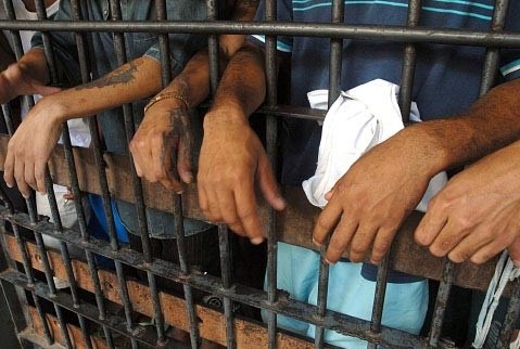 PC: presos pai e filho acusados de manter distribuidora de fachada 