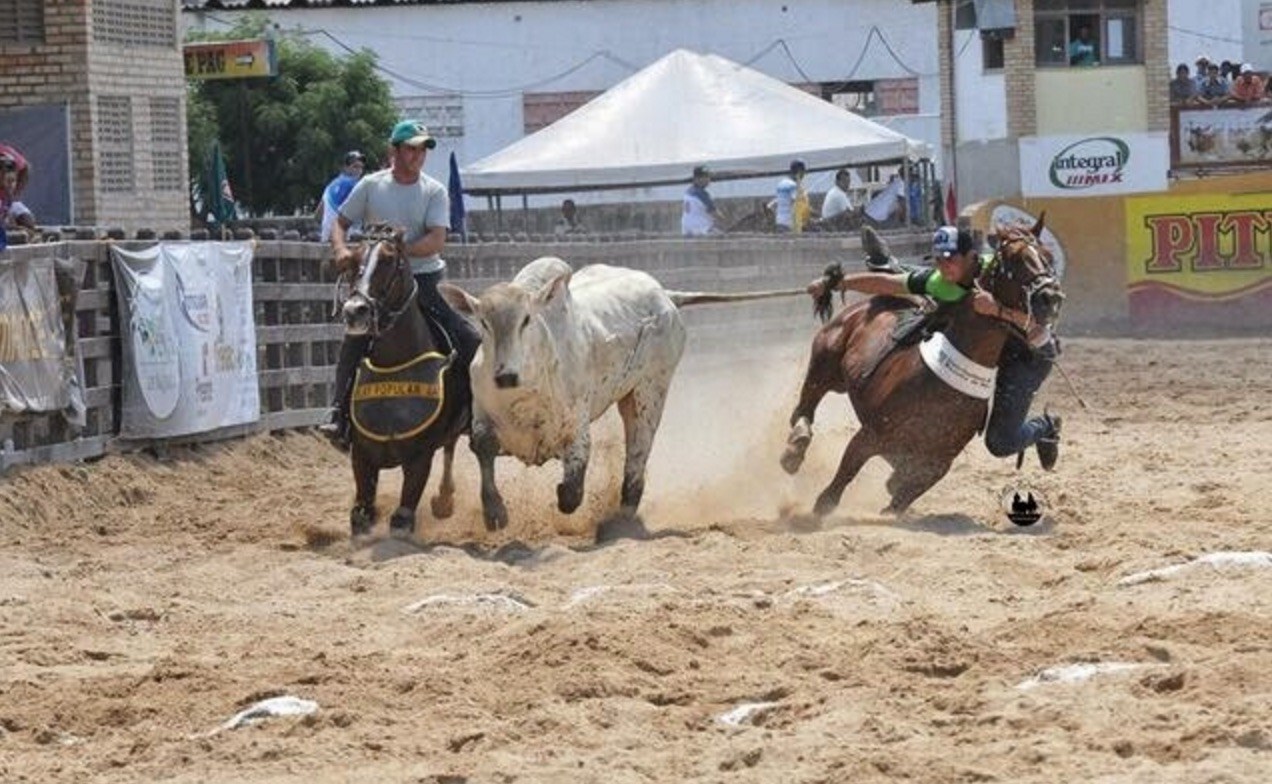 ProteÃ§Ã£o aos animais; MPE quer impedir Vaquejada em SÃ£o JosÃ© do Povo