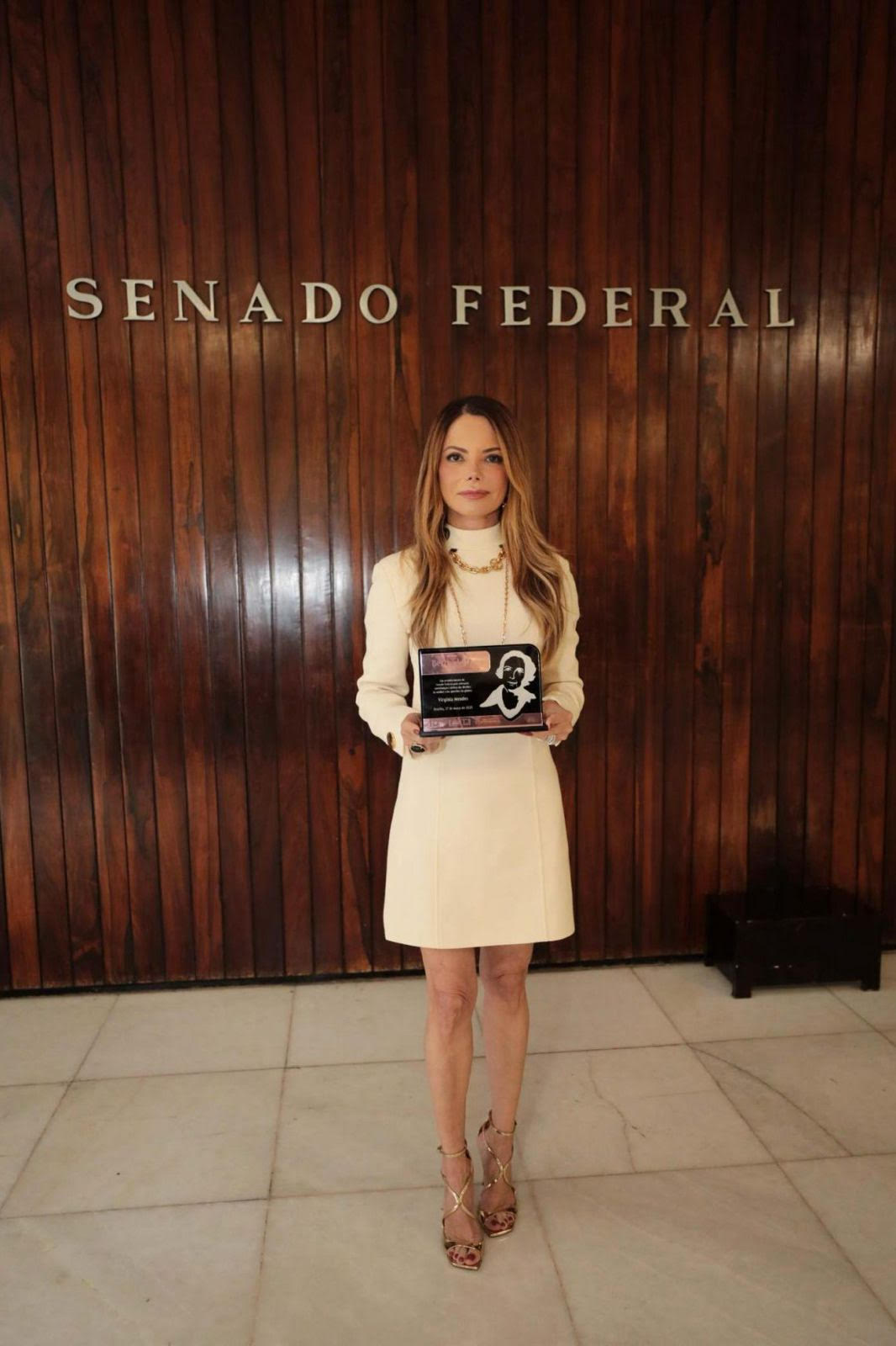 VIRGINIA MENDES - REFERÊNCIA NACIONAL