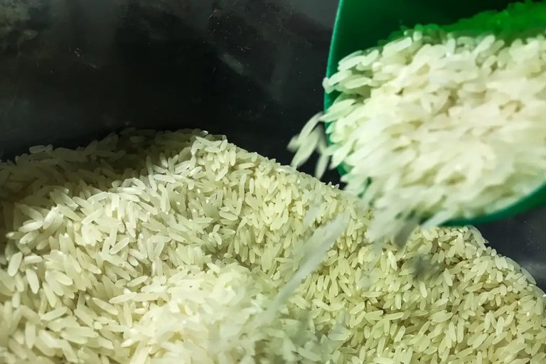 Governo Lula anula leilão que comprou 263 mil toneladas de arroz