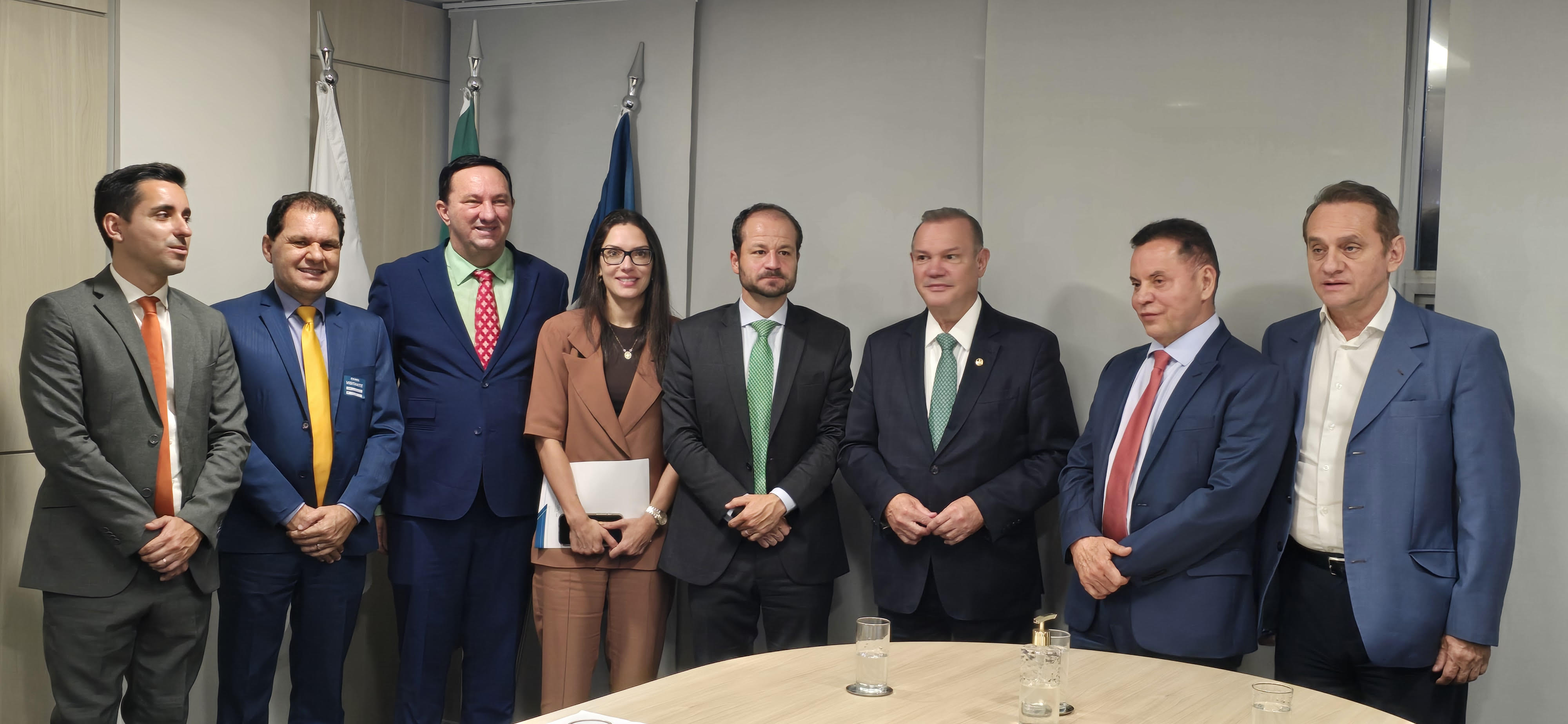 Energisa na mira: Wellington e deputados debatem concessão 