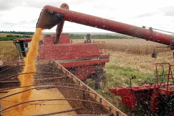 ExportaÃ§Ãµes da agropecuÃ¡ria brasileira crescem 115% em novembro