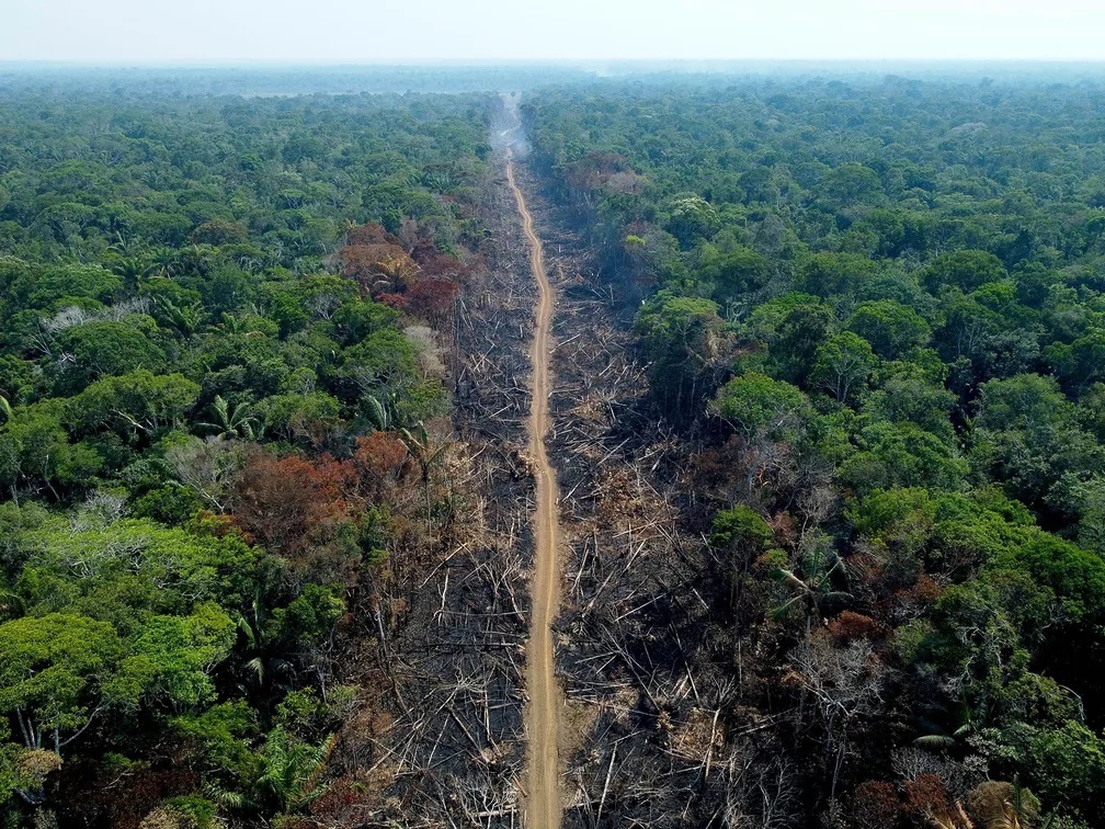 Mata Atlântica perde 2,4 milhões de hectares em 40 anos
