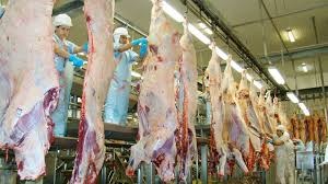 PolÃ­cia deflagra operaÃ§Ã£o contra comÃ©rcio clandestino de carne em MT