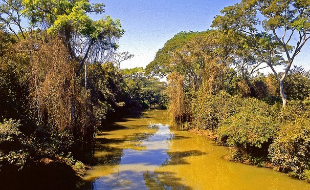 Pantanal poderá ter crise hídrica histórica em 2024, aponta estudo