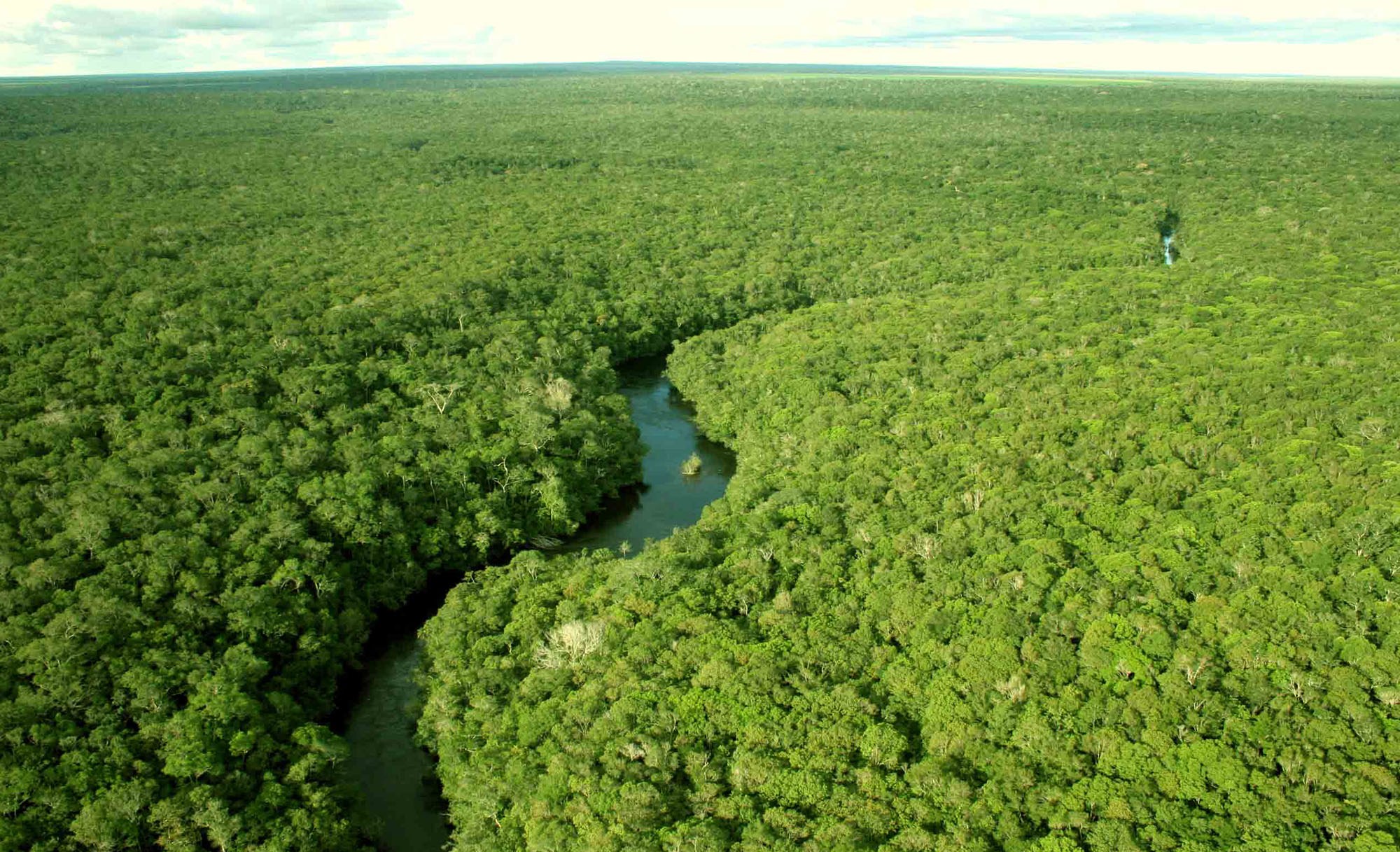 Amazônia e Cerrado registram queda de 11% no desmatamento
